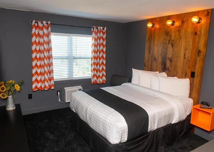 Uptown Hotel St Pete